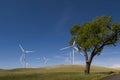 Palouse Wind Farm Royalty Free Stock Photo